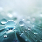 Environmental Professionals Training Institute